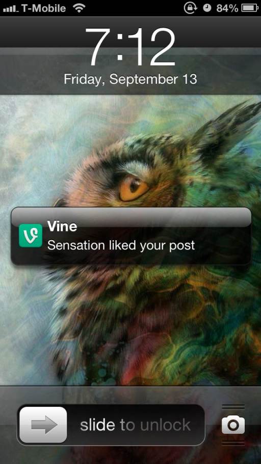 sensation-vine